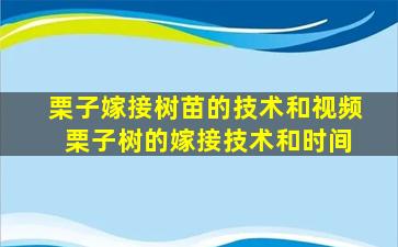 栗子嫁接树苗的技术和视频 栗子树的嫁接技术和时间